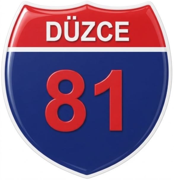Redlinegrafik Düzce 81plaka Kodlu 3D Kabartmalı Araç 1 Adet Sticker Etiket kırmızı lacivert Renk