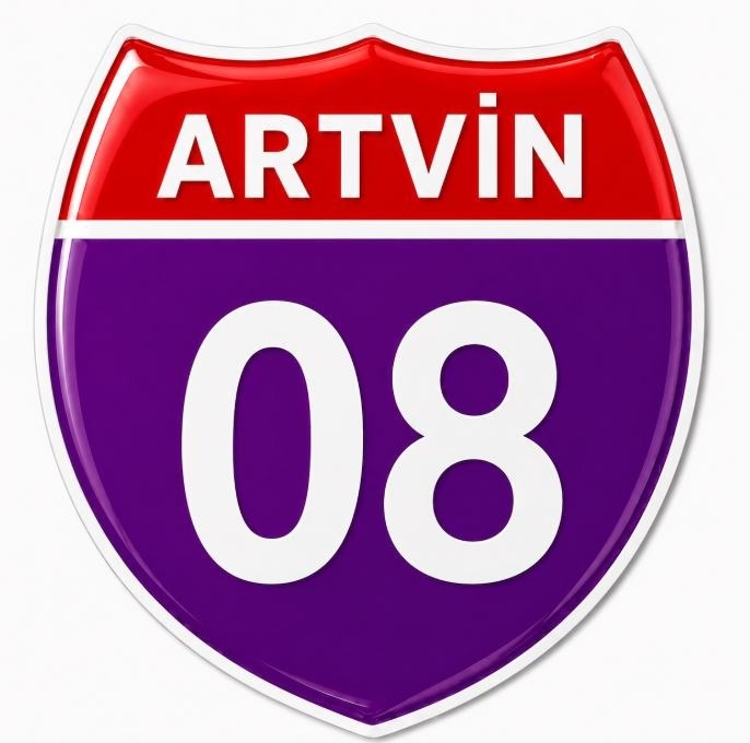 Redlinegrafik Artvin 08Plaka Kodlu 3D Kabartmalı Araç 1 Adet Sticker Etiket mor beyaz  Renk