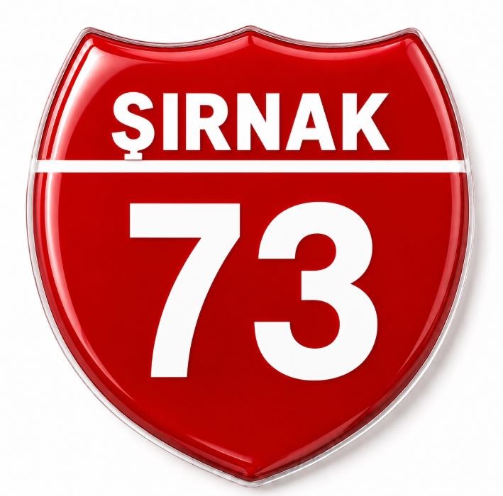 Redlinegrafik 73 Şırnak Plaka Kodlu 3D Kabartmalı Araç 1 Adet Sticker Etiket Kırmızı  Beyaz