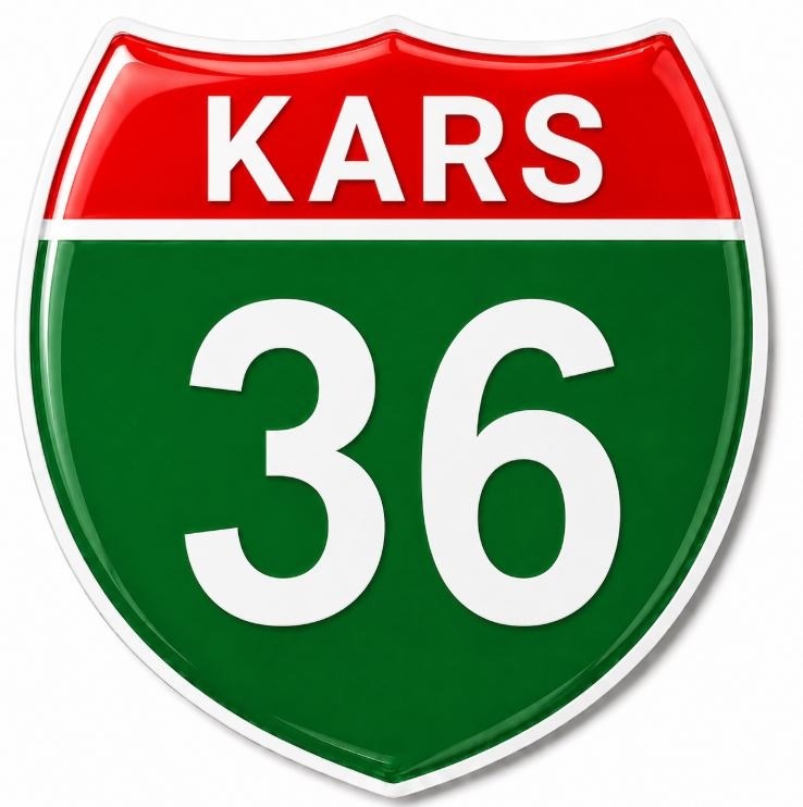 Redlinegrafik kars 36Plaka Kodlu 3D Kabartmalı Araç 1 Adet Sticker Etiket yeşil beyaz Renk