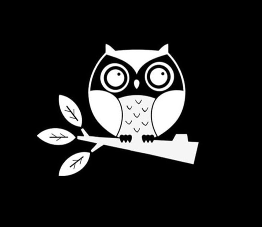 Baykuş Sağ Taraf Oto Sticker Yapıştırma