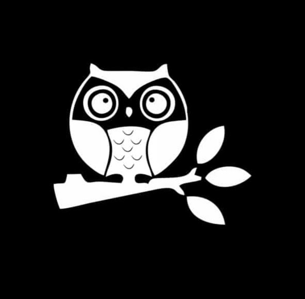 Baykuş Sol Taraf Oto Sticker Yapıştırma