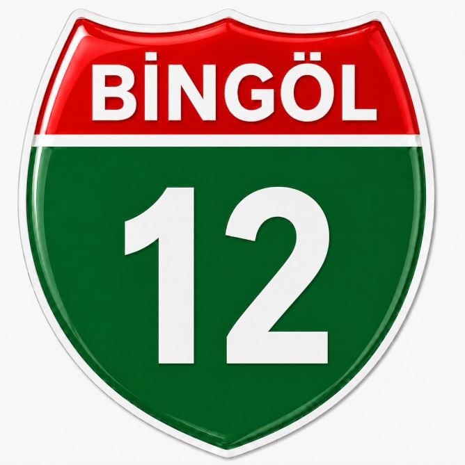 Redlinegrafik Bingöl 12Plaka Kodlu 3D Kabartmalı Araç 1 Adet Sticker Etiket yeşil beyaz Renk