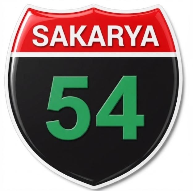 Redlinegrafik Sakarya 54plaka Kodlu 3D Kabartmalı Araç 1 Adet Sticker Etiket siyah yeşil Renk