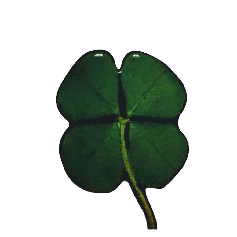 Dört Yapraklı Yonca 3D Oto Sticker Yapıştırma 1 Adet