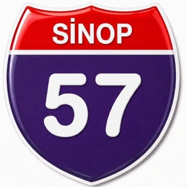 Redlinegrafik Sinop 57plaka Kodlu 3D Kabartmalı Araç 1 Adet Sticker Etiket mor beyaz Renk