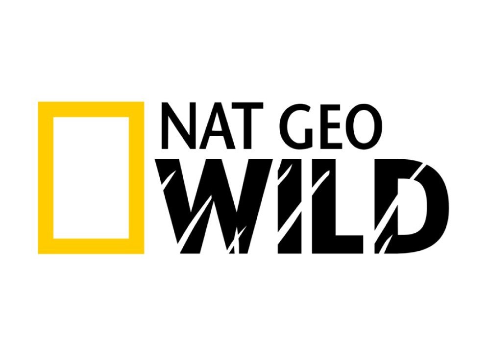 National Geographic Wild Siyah Sticker