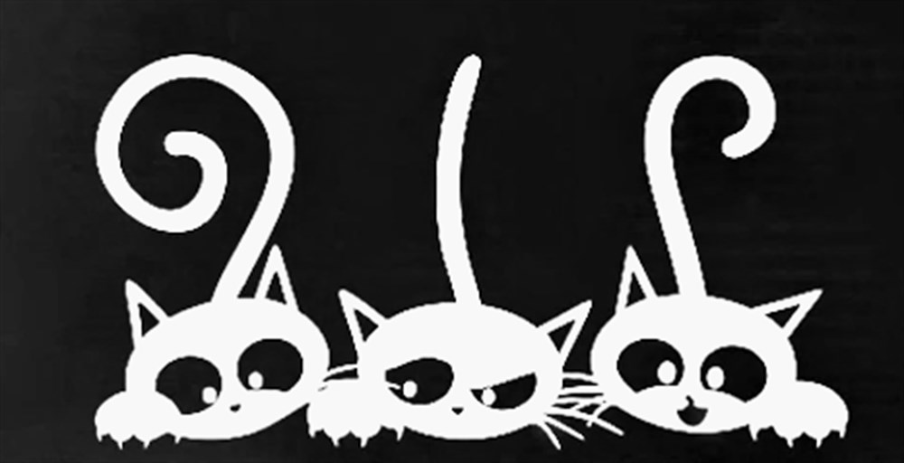 Üç Kedi Beyaz Sticker