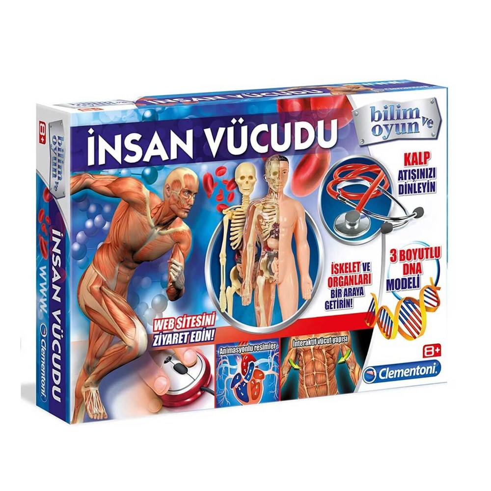 İnsan Vücudu