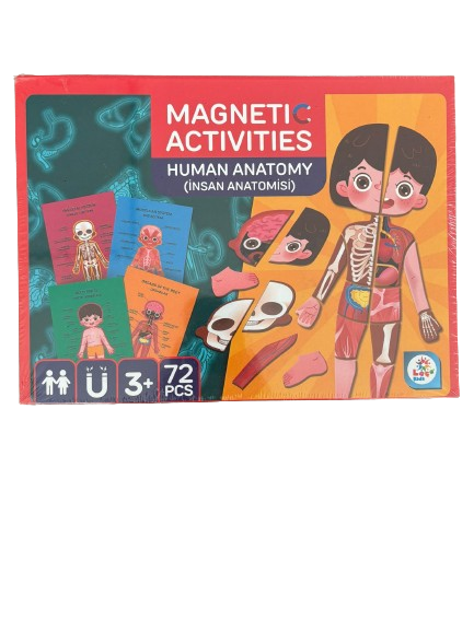 Puzzle ve Yapboz, Laço Kids, Laço Kids Manyetik İnsan Anatomisi Aktivite Oyun Seti LC8543