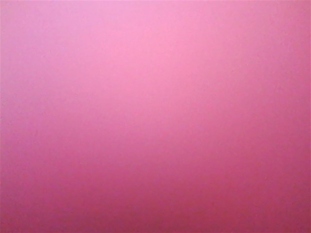 Breadcrumbut, BuBu, Simli Eva Sticker