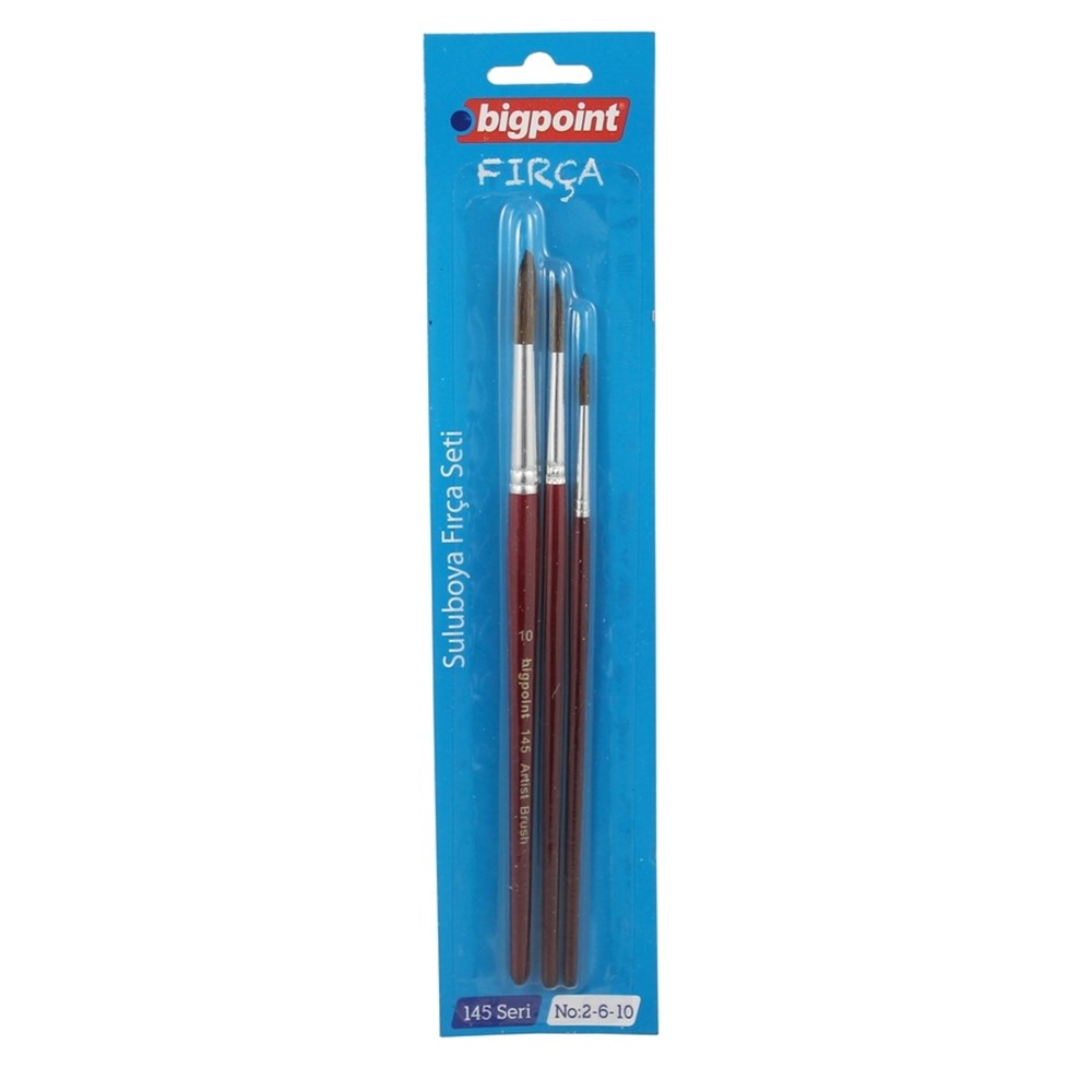 Bigpoint 145 Serisi Yuvarlak Fırça Seti 2-6-10 3'lü Blister