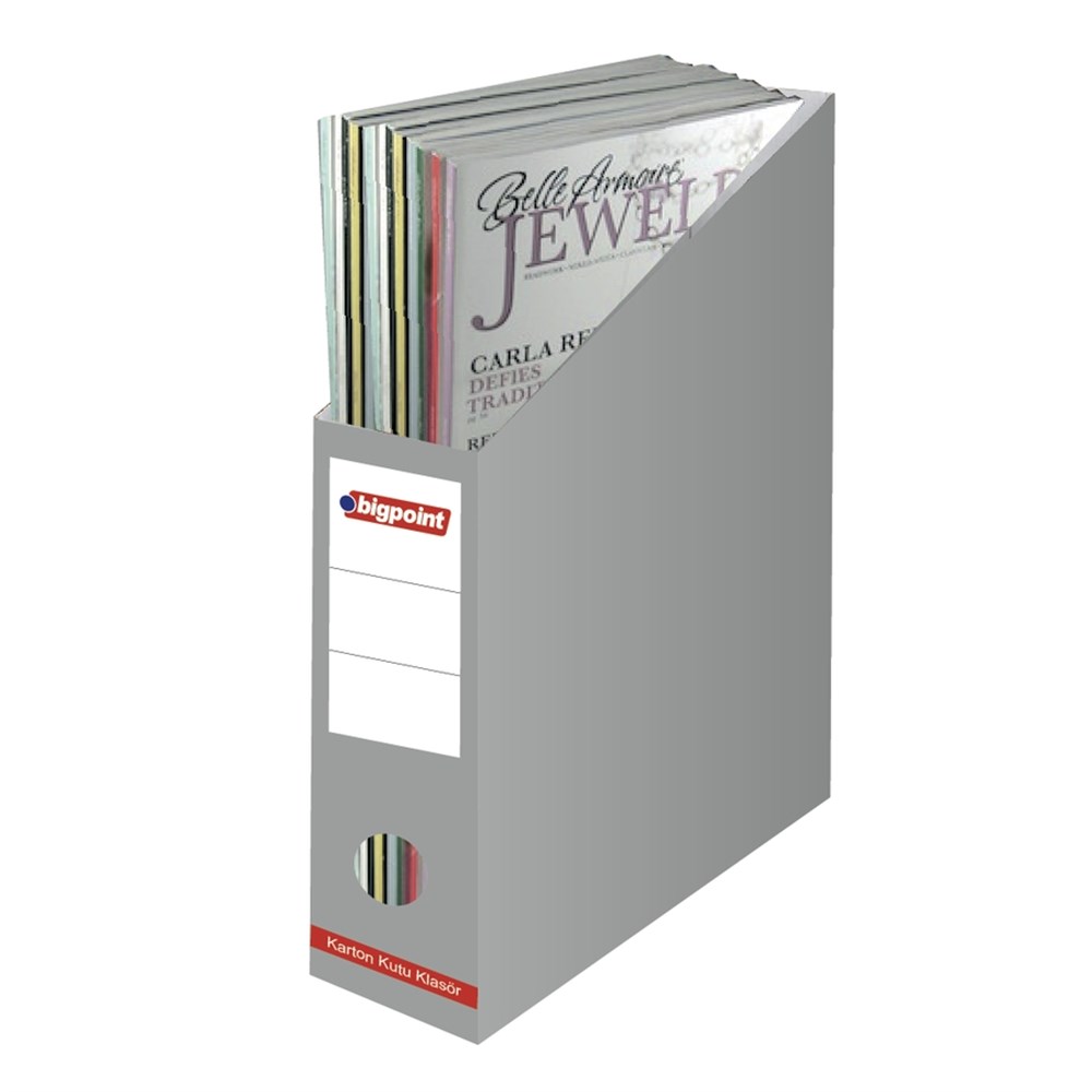 Bigpoint Karton Kutu Klasör Gri