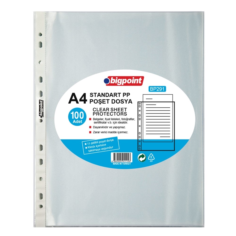 Bigpoint Poşet Dosya Standart 40 Mikron 100'lü Paket