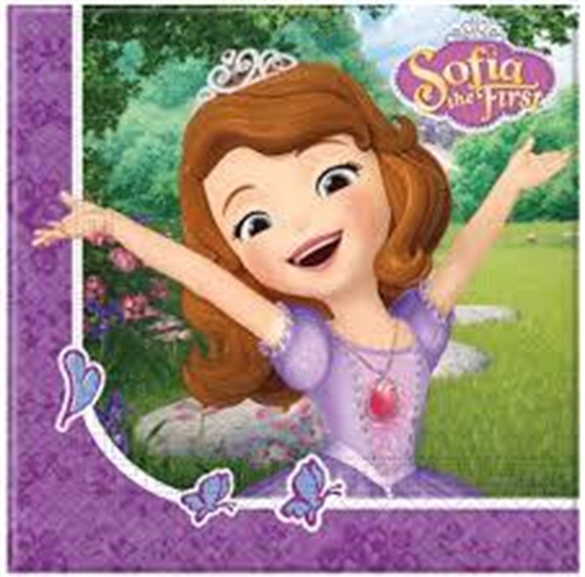 Kağıt Peçete Sofia