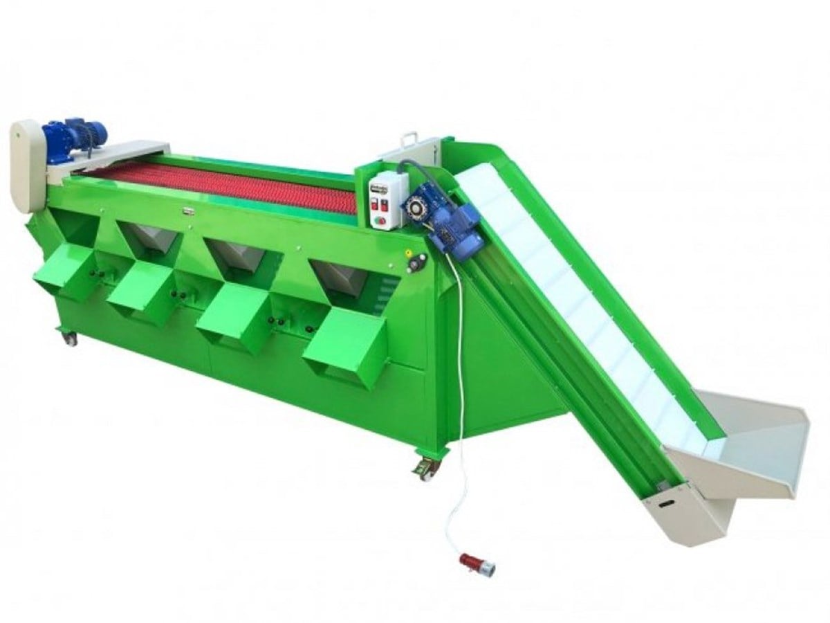 Twist1400 Walnut Screening and Calibration Machine