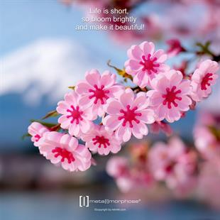 Metalmorphose Nature Cherry Blossom Anahtarlık / Çanta Aksesuarı