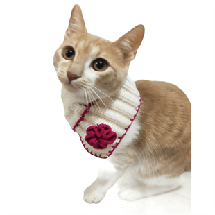 El Örgüsü Kedi Boyunluk Aksesuarı