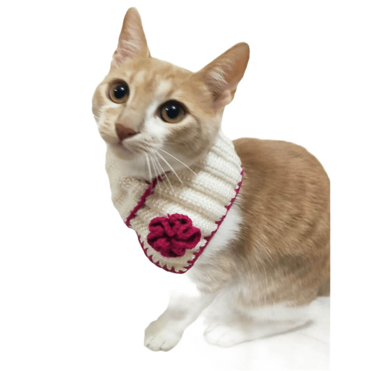 El Örgüsü Kedi Boyunluk Aksesuarı-Ev Gereçleri-QuzucukKids.com