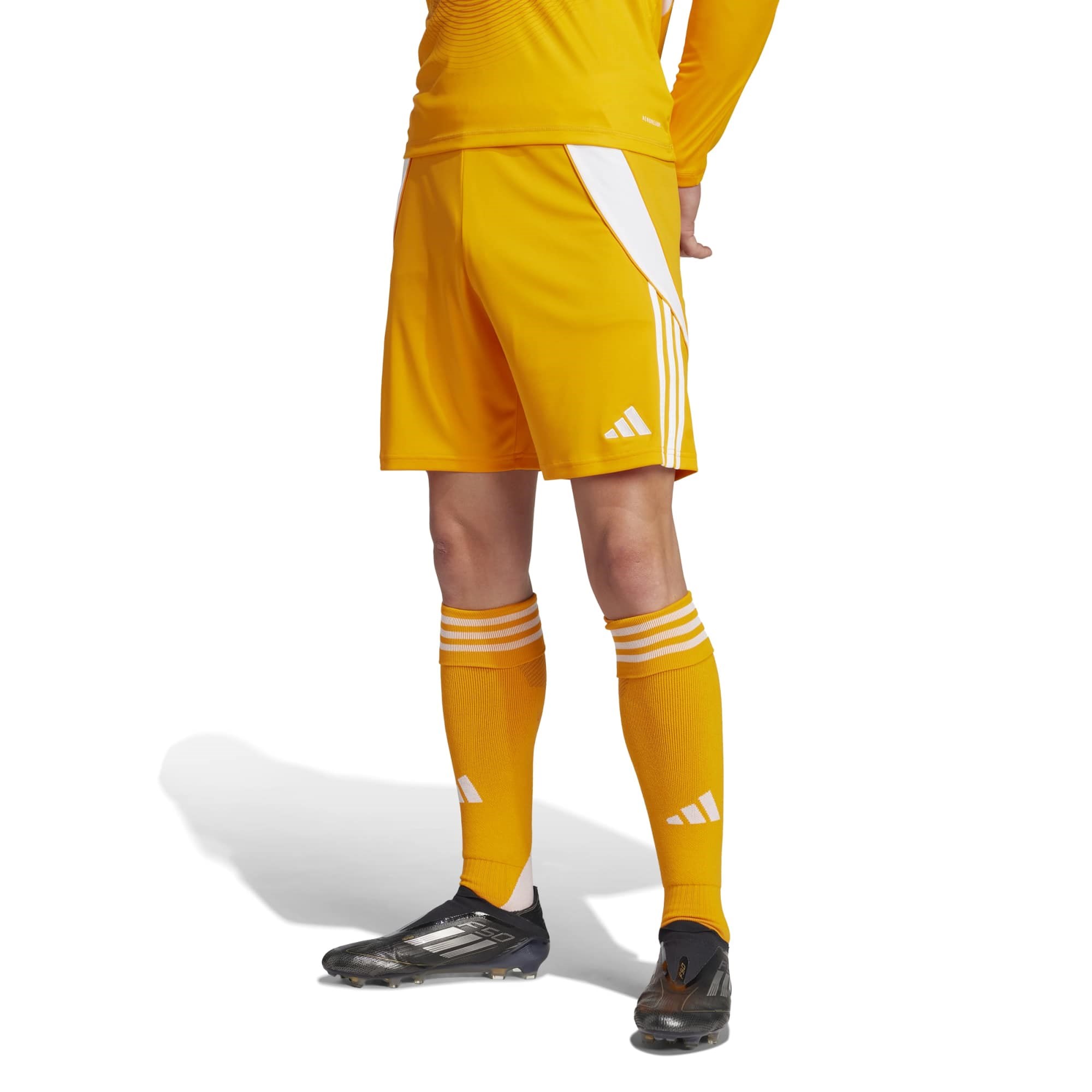 Adidas Erkek Futbol Şort Tiro24 Sho Jn4497
