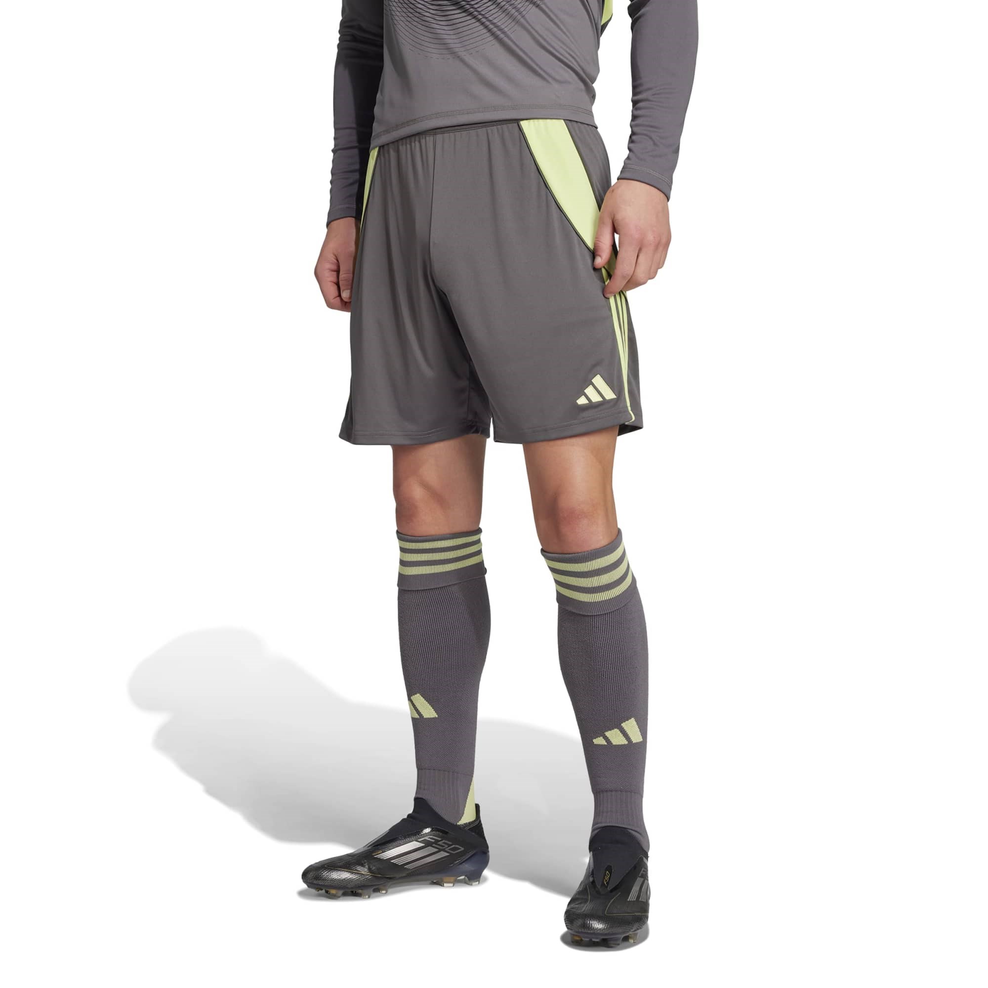 Adidas Erkek Futbol Şort Tiro24 Sho Jn1993