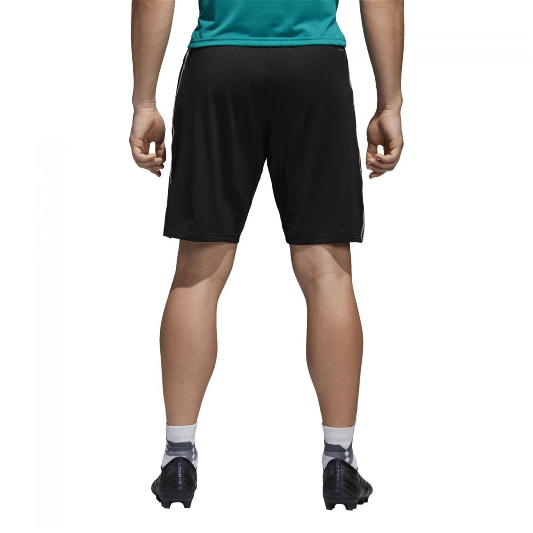 Adidas Erkek Şort CE6617 DFB TR SHO