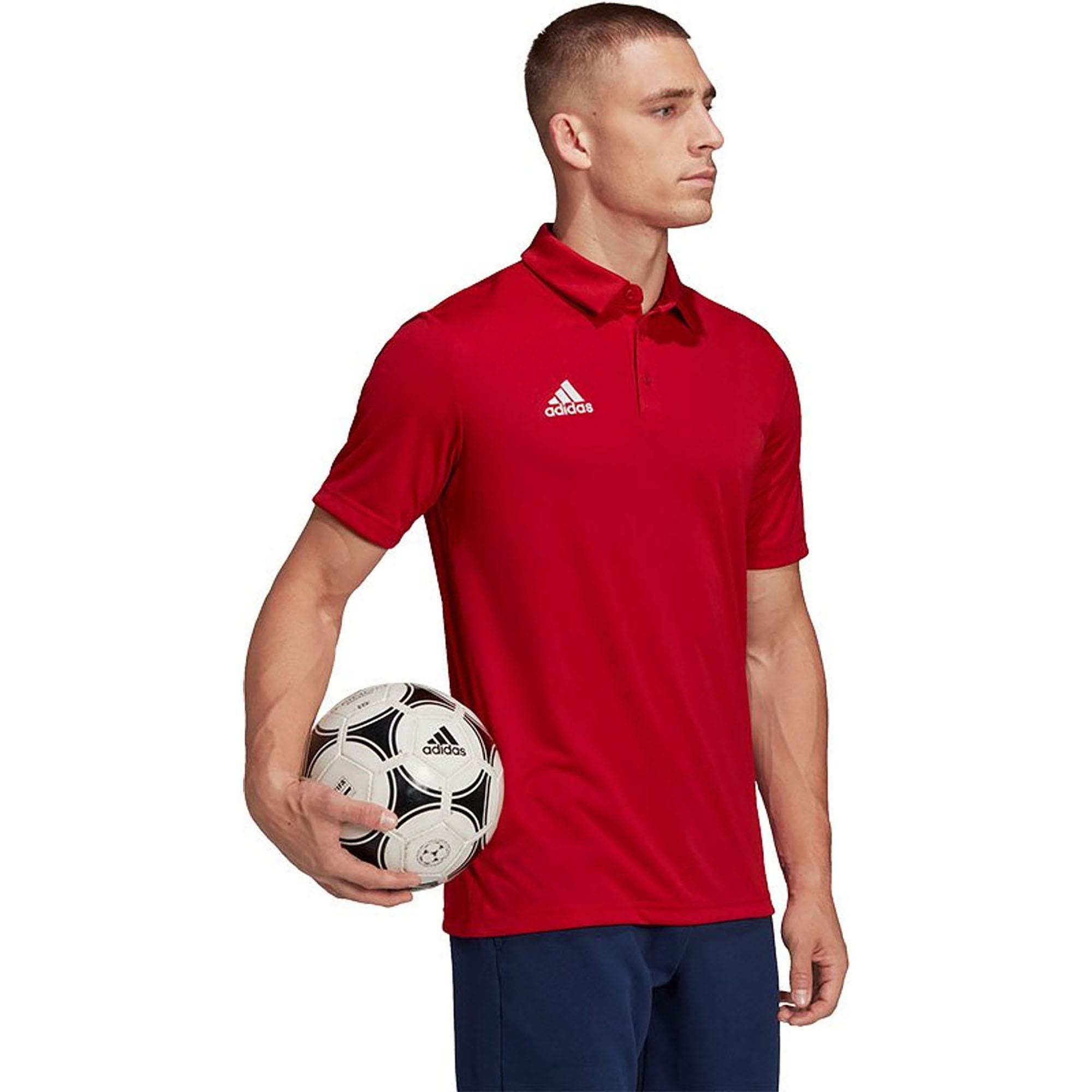 ENT22 POLO
