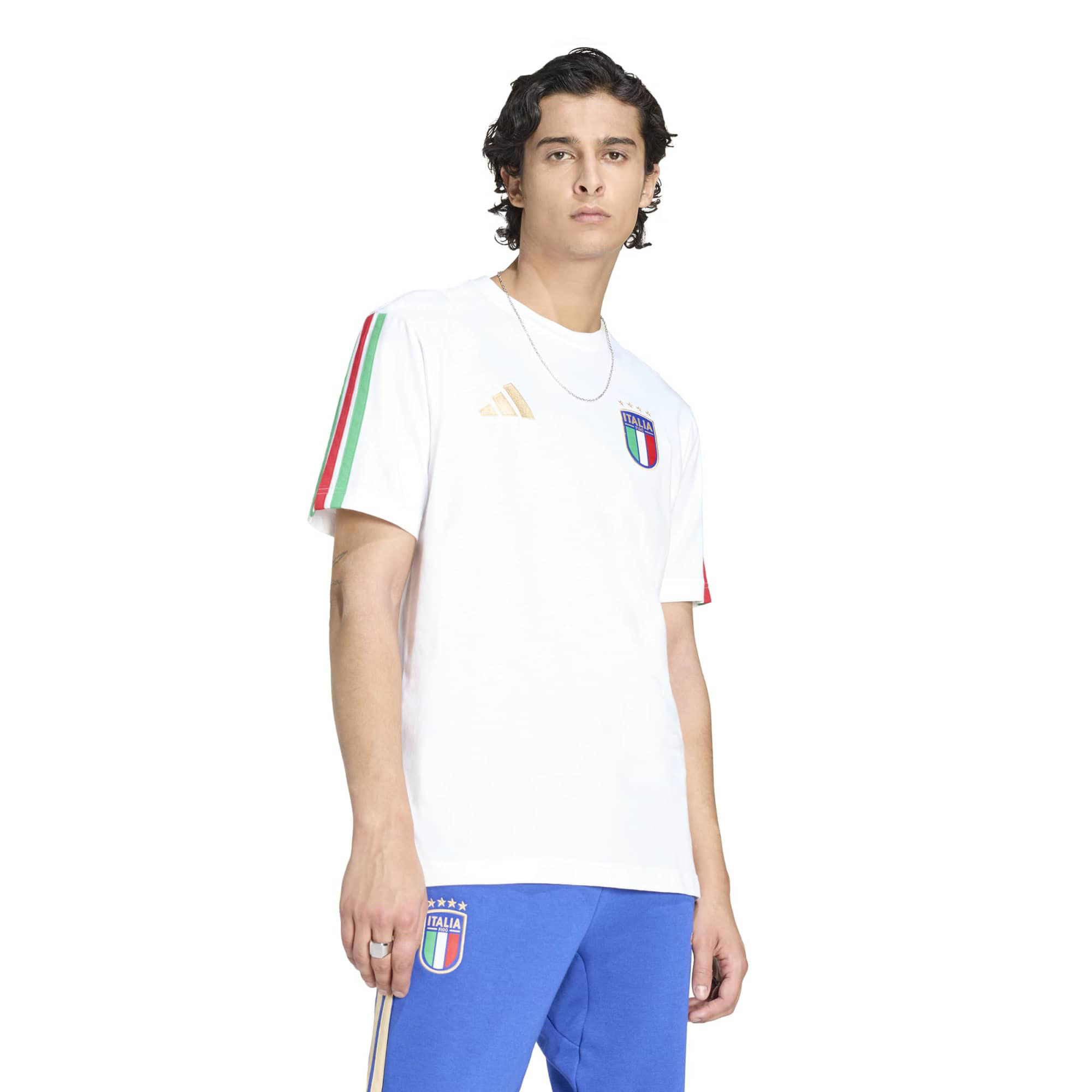 FIGC DNA TEE