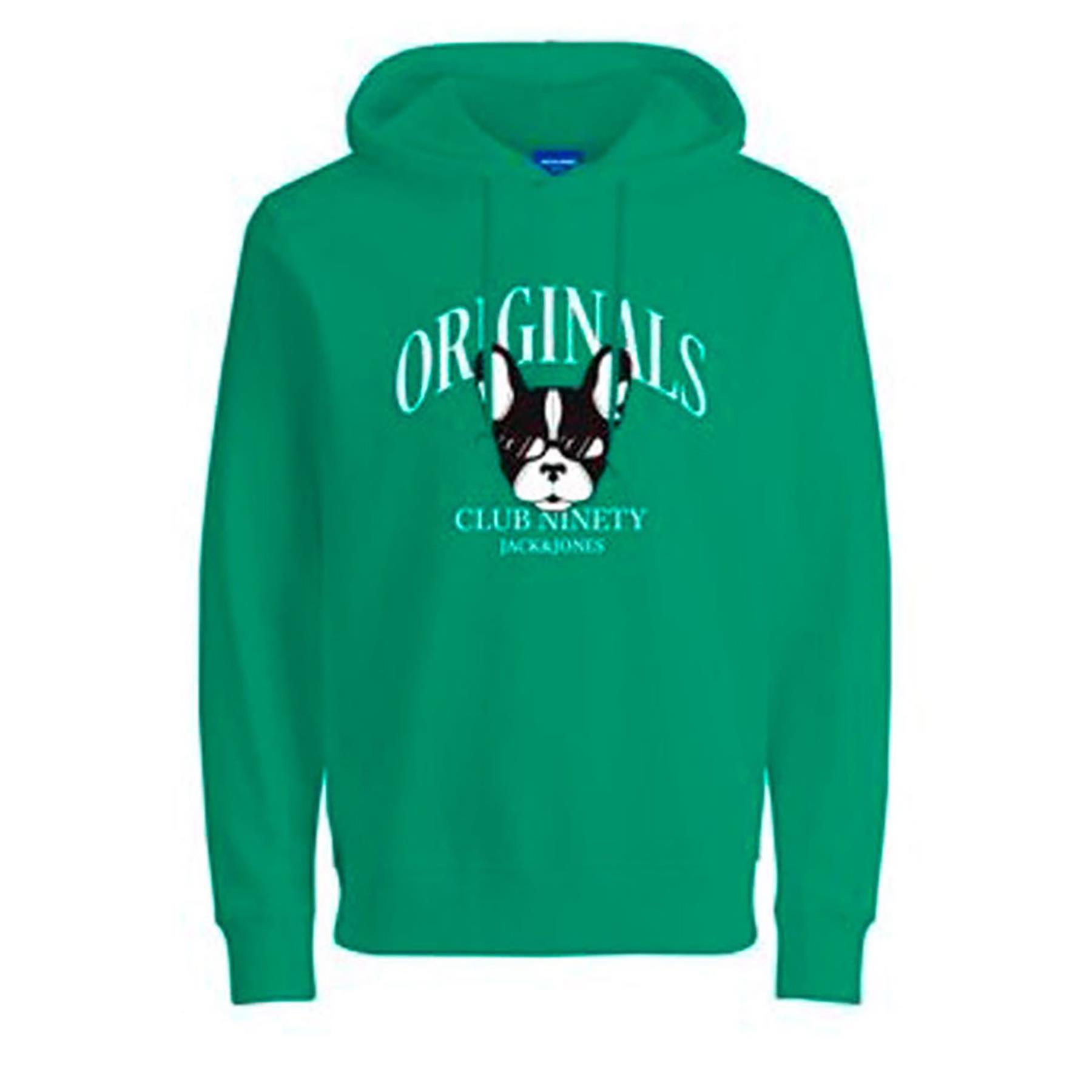 Jack & Jones Erkek Kapşonlu Sweatshirt 12244219