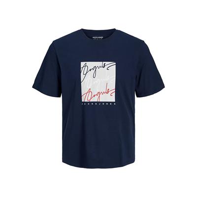 Jack & Jones Erkek T-Shirt 12228254