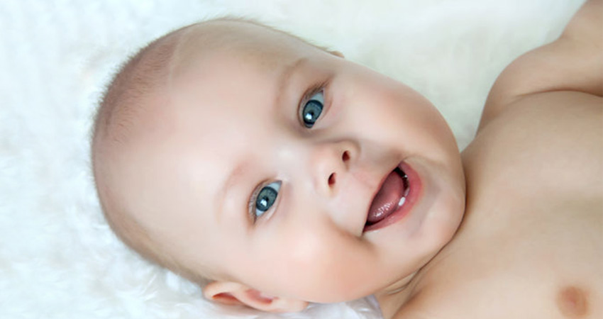 Bebeklerde diş çıkarma, Bebeklerde diş, Bebeklerde Diş Kaşıyıcılar