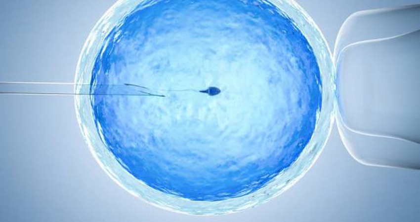 Embriyo Transferi, Embriyo, genetik inceleme, embriyo inceleme, embriyonun genetik incelenmesi