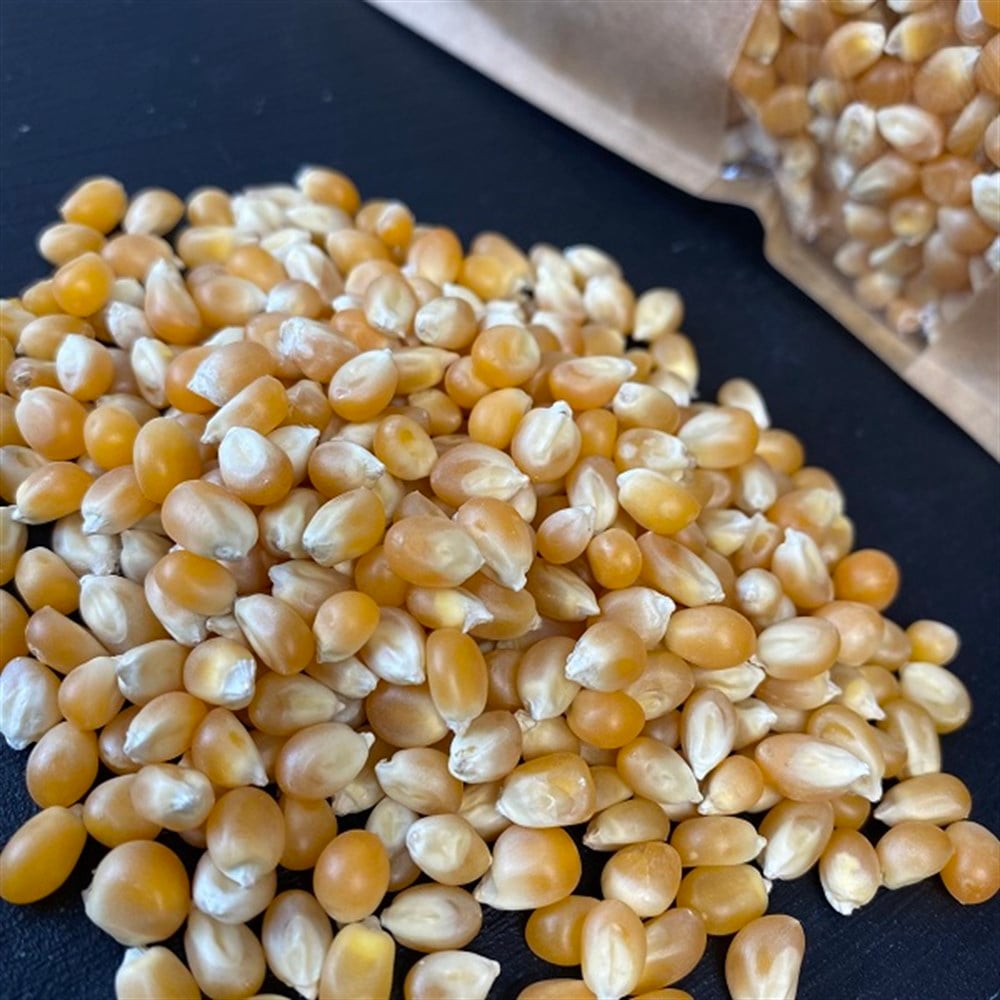 Patlatmalık Mısır