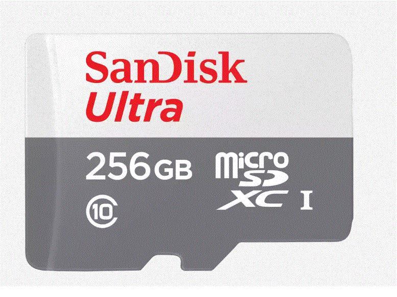 SANDISK FLA 256GB ULTRA SDHC 100MB/S CLASS 10 SDSQUNR-256G-GN3MN