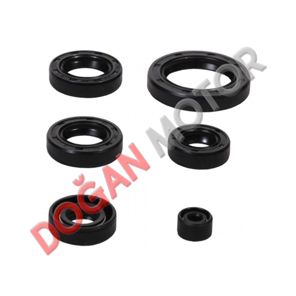 KEÇE TAKIMI 6 LI SET CG