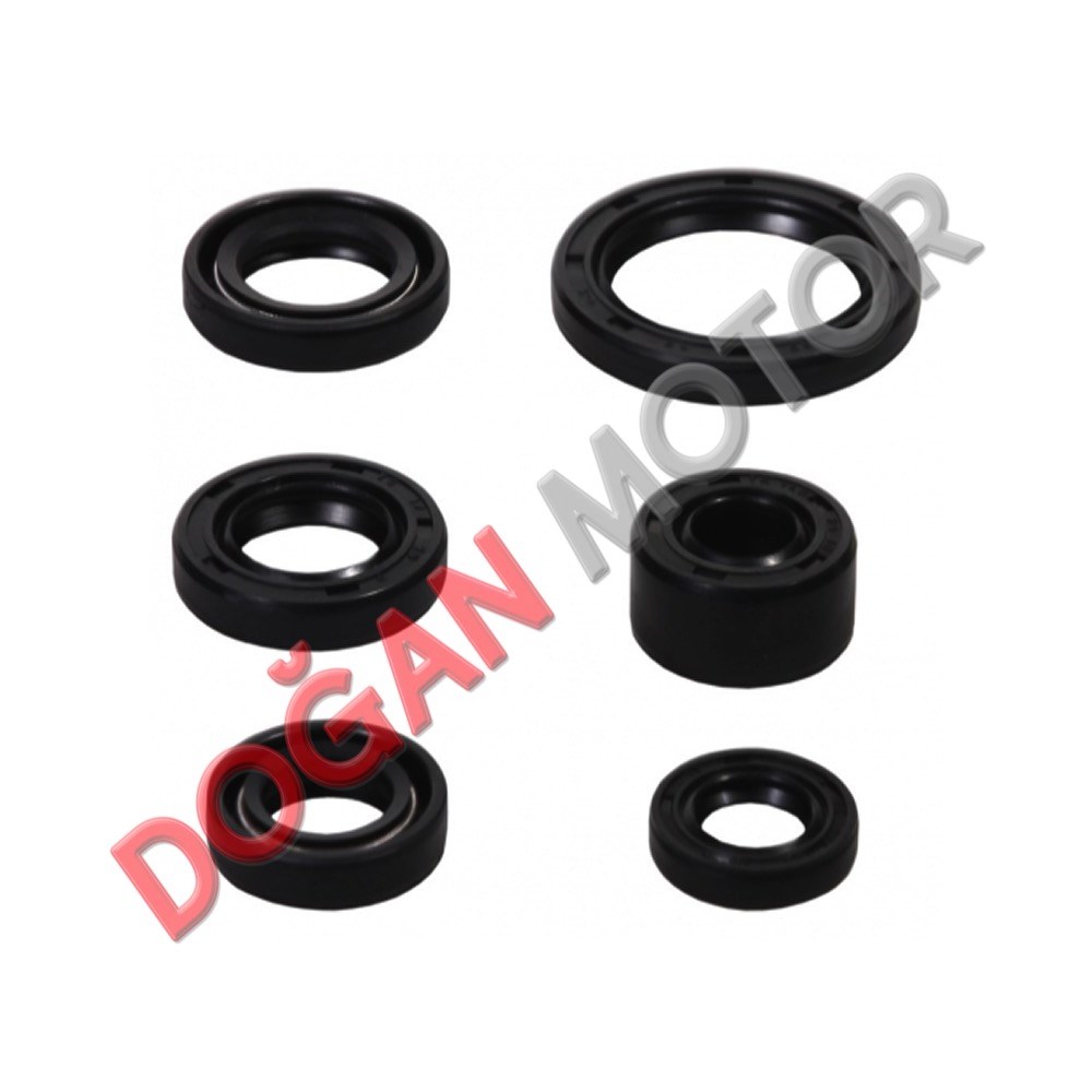 KEÇE TAKIMI 6 LI SET CUB