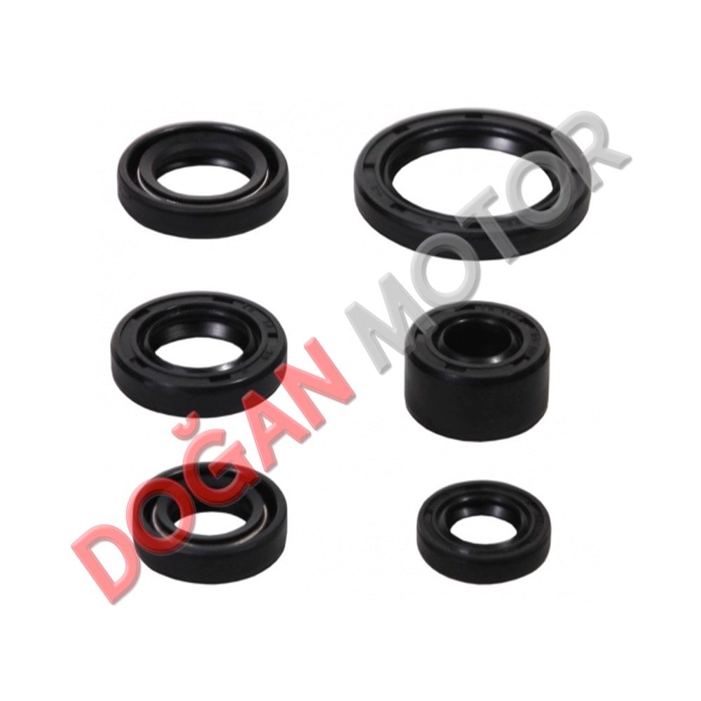 KEÇE TAKIMI 6 LI SET CUB