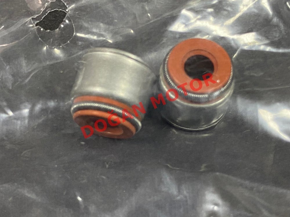 TVS APACHE SUBAP KEÇESİ