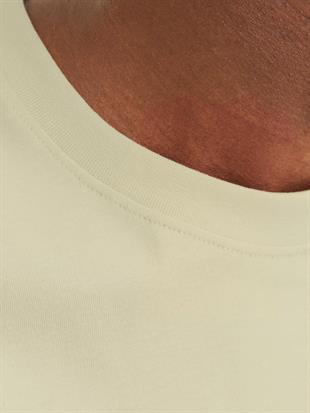 Jack & Jones JORVESTERBRO Logo Baskılı Açık Yeşil Erkek Tişört 12240121