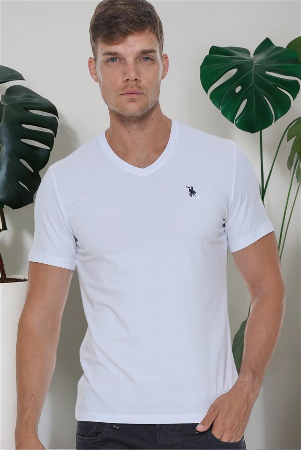 T8568 DEWBERRY V YAKA ERKEK T-SHIRT-AÇIK BEYAZ