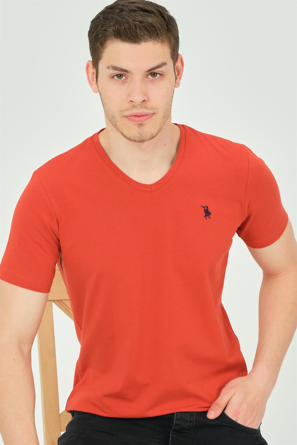 T8568 DEWBERRY V YAKA ERKEK T-SHIRT-KOYU KİREMİT