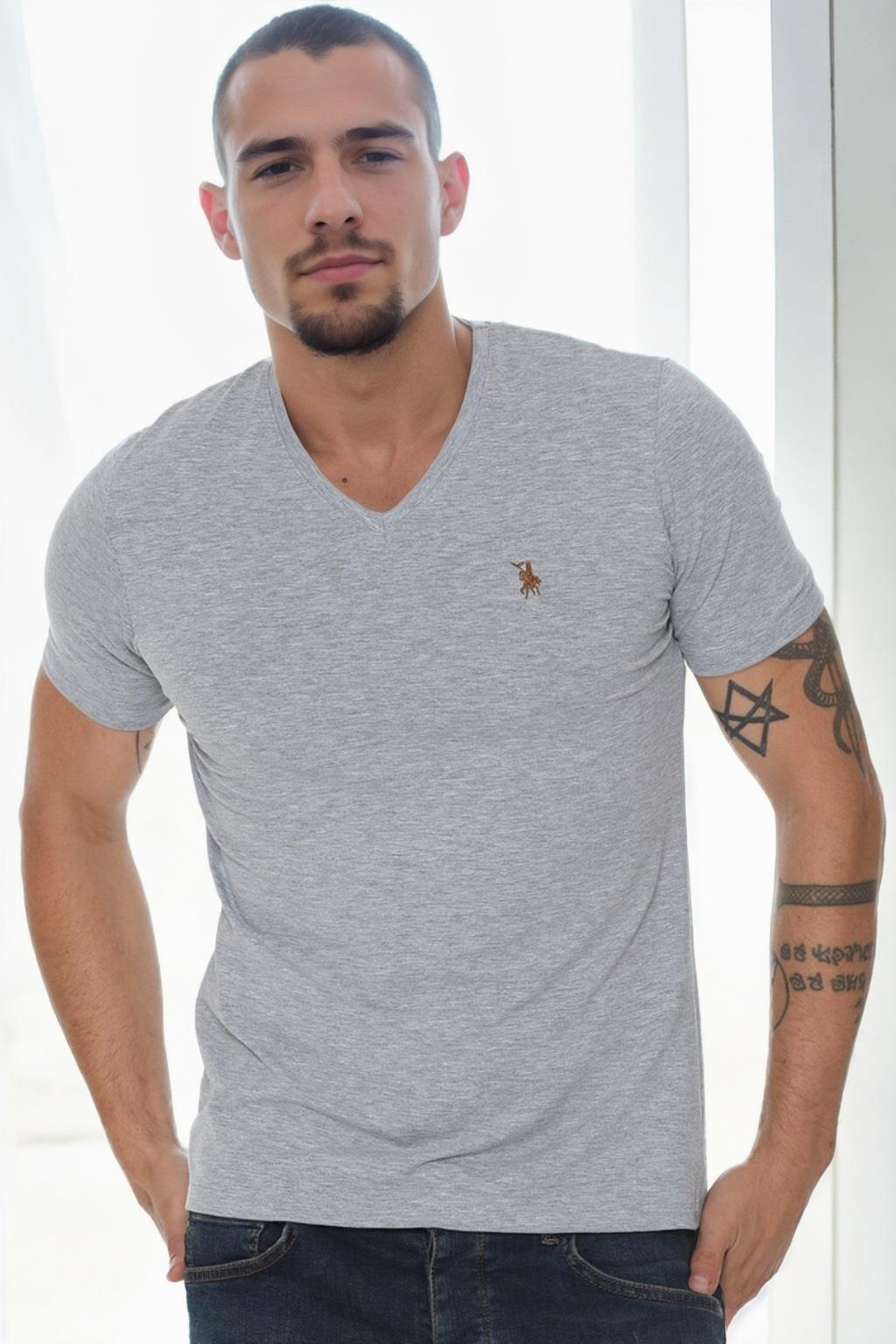 T9568 DEWBERRY V YAKA ERKEK T-SHIRT-GRİ
