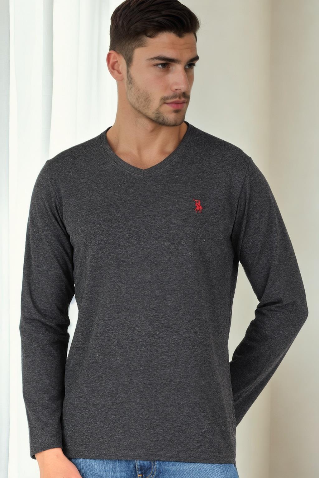 T9587 DEWBERRY V YAKA ERKEK UZUN KOL T-SHIRT-ANTRASİT