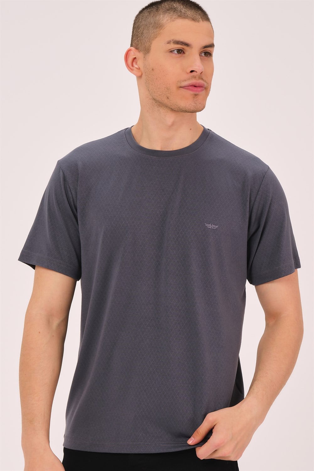 T0737 DEWBERRY ERKEK T-SHIRT-FÜME
