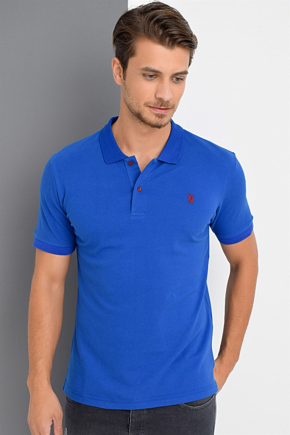 T8561 DEWBERRY ERKEK TSHIRT-SAKS
