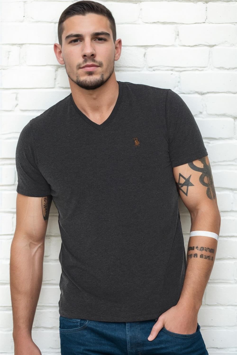 T8568 DEWBERRY V YAKA ERKEK T-SHIRT-ANTRASİT-2