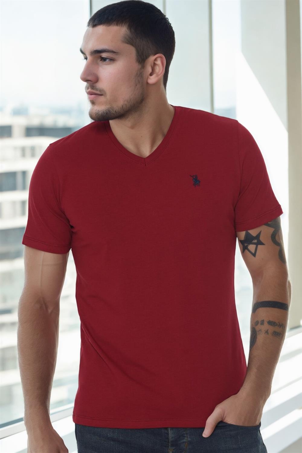 T8568 DEWBERRY V YAKA ERKEK T-SHIRT-BORDO-1