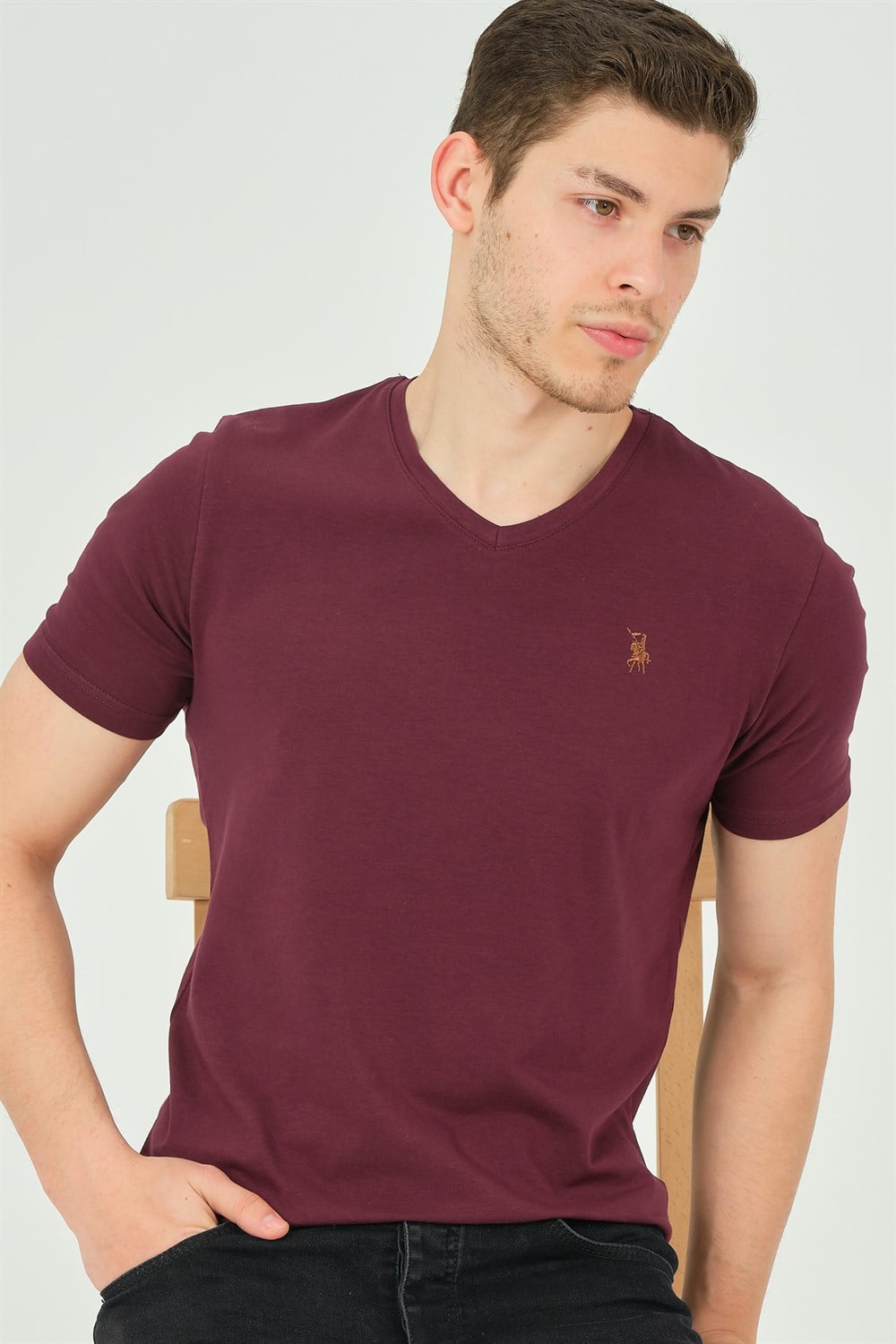 T8568 DEWBERRY V YAKA ERKEK T-SHIRT-MOR