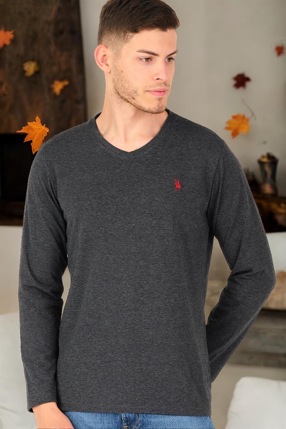 T8587 DEWBERRY V YAKA ERKEK UZUN KOL T-SHIRT-ANTRASİT-2