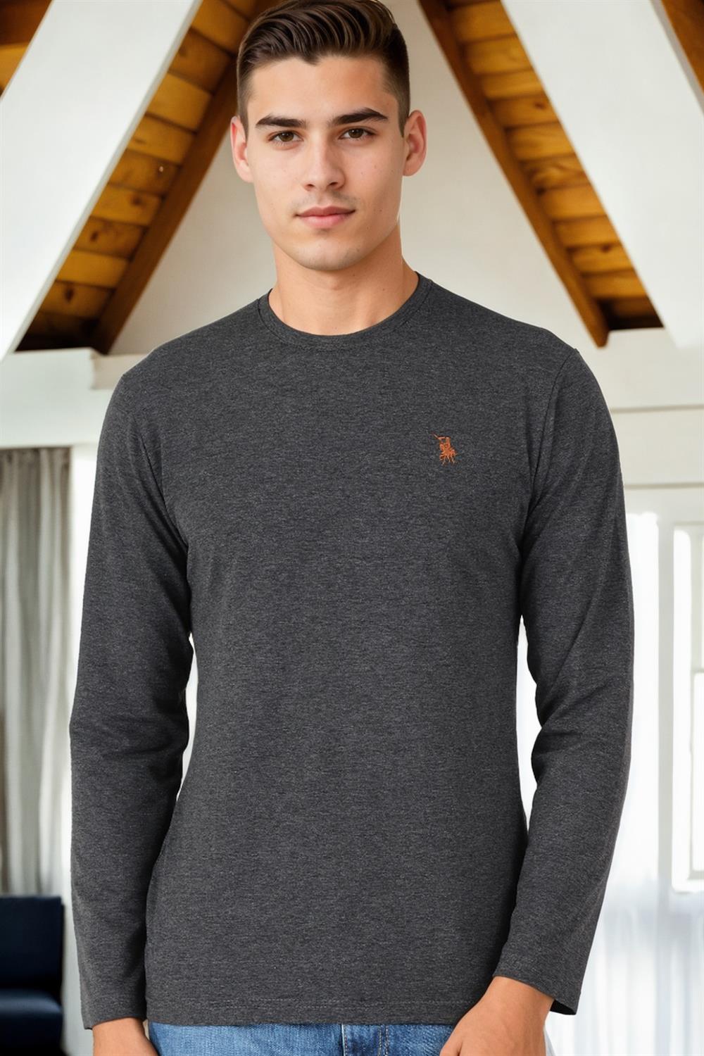T8588 DEWBERRY BİSİKLET YAKA UZUN KOL T-SHIRT-ANTRASİT-2
